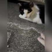 ヒメ日記 2025/09/10 17:08 投稿 ゆあ エンジェルエステplus