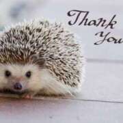 ヒメ日記 2025/07/10 17:50 投稿 なつき 恋づま