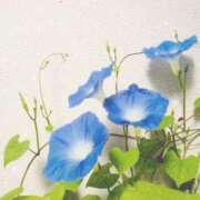 ヒメ日記 2025/08/08 12:22 投稿 なつき 恋づま