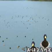 ヒメ日記 2024/10/23 12:10 投稿 マユミ 発情看護姫