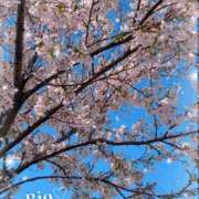 ヒメ日記 2025/04/02 17:02 投稿 梨央(りお) MERMAID～マーメイド～