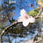 ヒメ日記 2025/04/15 22:55 投稿 梨央(りお) MERMAID～マーメイド～