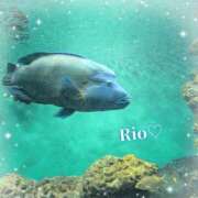 ヒメ日記 2025/11/03 23:20 投稿 梨央(りお) MERMAID～マーメイド～