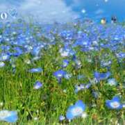 ヒメ日記 2026/04/02 14:22 投稿 梨央(りお) MERMAID～マーメイド～