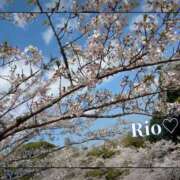 ヒメ日記 2026/04/03 15:03 投稿 梨央(りお) MERMAID～マーメイド～