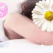 ヒメ日記 2026/06/13 14:03 投稿 梨央(りお) MERMAID～マーメイド～