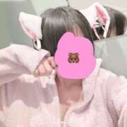 ヒメ日記 2025/04/05 14:01 投稿 初号機 ベイビーモコ