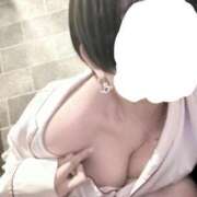 ヒメ日記 2025/07/01 12:16 投稿 初号機 ベイビーモコ