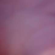 ヒメ日記 2025/09/26 19:52 投稿 初号機 ベイビーモコ