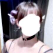 ヒメ日記 2025/10/31 17:02 投稿 初号機 ベイビーモコ