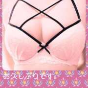 ヒメ日記 2025/08/26 17:02 投稿 ひとは 千葉人妻花壇