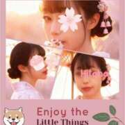 ヒメ日記 2025/12/26 08:52 投稿 ひとは 千葉人妻花壇