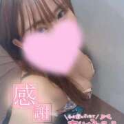 ヒメ日記 2025/04/26 22:41 投稿 夜桜　めろ YUDEN～油殿～堺東店