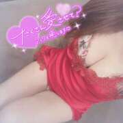 ヒメ日記 2025/07/06 03:30 投稿 夜桜　めろ YUDEN～油殿～堺東店