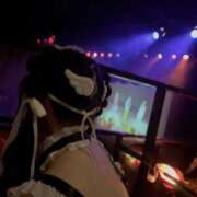 ヒメ日記 2025/04/14 10:01 投稿 アキナ ラブコレクション