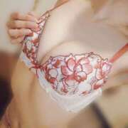 ヒメ日記 2025/03/25 19:30 投稿 夏目きょうこ セクシーキャット 神田店