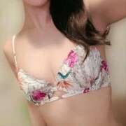 ヒメ日記 2025/12/03 12:00 投稿 夏目きょうこ セクシーキャット 神田店