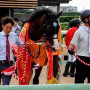 ヒメ日記 2026/05/21 20:07 投稿 夏目きょうこ セクシーキャット 神田店