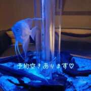 ヒメ日記 2025/02/23 12:19 投稿 ななみ 厚木人妻城