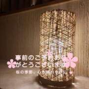 ヒメ日記 2025/04/15 12:18 投稿 ななみ 厚木人妻城