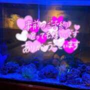 ヒメ日記 2025/08/17 12:56 投稿 ななみ 厚木人妻城