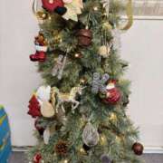 ヒメ日記 2025/11/22 21:20 投稿 ななみ 厚木人妻城