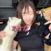 ヒメ日記 2024/12/27 09:01 投稿 あすな コートダジュール