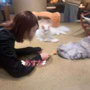 ヒメ日記 2025/01/26 20:16 投稿 あすな コートダジュール