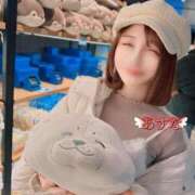 ヒメ日記 2025/03/11 03:46 投稿 あすな コートダジュール