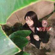 ヒメ日記 2025/04/14 10:10 投稿 あすな コートダジュール