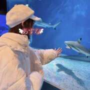 ヒメ日記 2025/04/15 14:09 投稿 あすな コートダジュール