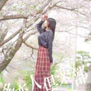 ヒメ日記 2026/04/09 21:02 投稿 れおな 多恋人倶楽部　宇部店