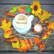 ヒメ日記 2024/12/13 07:26 投稿 ひまり ぷるるん小町 京橋店