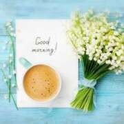 ヒメ日記 2025/03/20 07:15 投稿 ひまり ぷるるん小町 京橋店