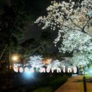 ヒメ日記 2025/04/01 07:15 投稿 ひまり ぷるるん小町 京橋店