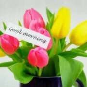 ヒメ日記 2025/04/12 07:15 投稿 ひまり ぷるるん小町 京橋店