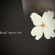 ヒメ日記 2025/04/19 07:33 投稿 ひまり ぷるるん小町 京橋店