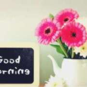 ヒメ日記 2025/04/26 07:26 投稿 ひまり ぷるるん小町 京橋店