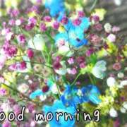 ヒメ日記 2025/05/24 07:26 投稿 ひまり ぷるるん小町 京橋店