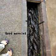 ヒメ日記 2025/06/14 07:15 投稿 ひまり ぷるるん小町 京橋店