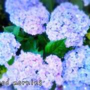 ヒメ日記 2025/06/24 07:15 投稿 ひまり ぷるるん小町 京橋店