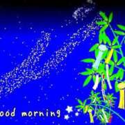 ヒメ日記 2025/07/07 07:15 投稿 ひまり ぷるるん小町 京橋店