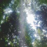 ヒメ日記 2025/08/04 07:15 投稿 ひまり ぷるるん小町 京橋店