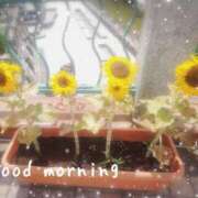 ヒメ日記 2025/08/06 07:15 投稿 ひまり ぷるるん小町 京橋店