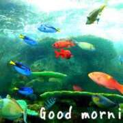 ヒメ日記 2025/08/24 07:15 投稿 ひまり ぷるるん小町 京橋店