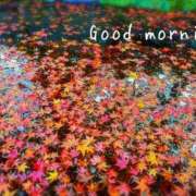 ヒメ日記 2025/09/23 07:15 投稿 ひまり ぷるるん小町 京橋店