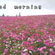 ヒメ日記 2025/09/27 07:15 投稿 ひまり ぷるるん小町 京橋店