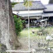 ヒメ日記 2025/10/04 07:15 投稿 ひまり ぷるるん小町 京橋店