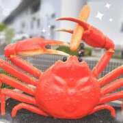 ヒメ日記 2025/10/14 21:09 投稿 ひまり ぷるるん小町 京橋店