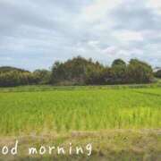 ヒメ日記 2025/10/20 07:15 投稿 ひまり ぷるるん小町 京橋店